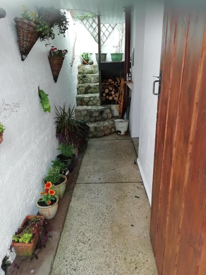 Clearview Cottage St Austell Exterior foto